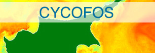cycofos banner